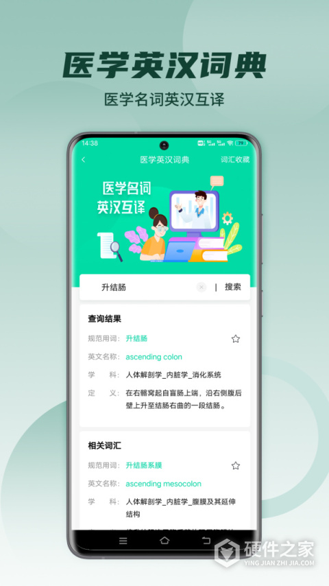 医维度解剖