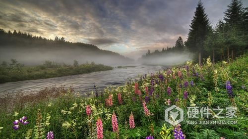 华为手机照片无故损坏解决方法一览