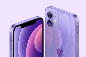 紫色版iPhone 12随机序列号作用