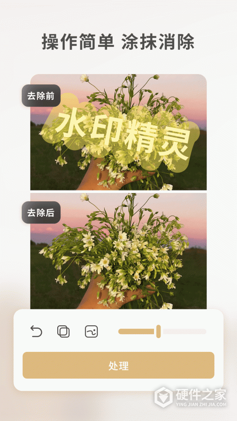 乐其爱水印精灵免费版