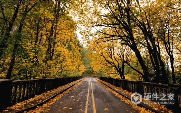 sd卡恢复照片花屏了解决教程