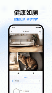 Catlink