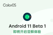 Android 12 Beta 1首发厂家有哪些