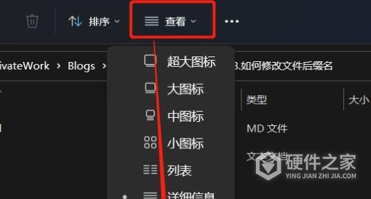 win11更改文件后缀教程