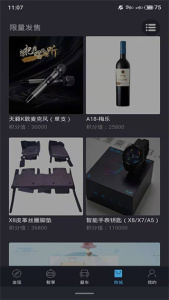 思皓新能源