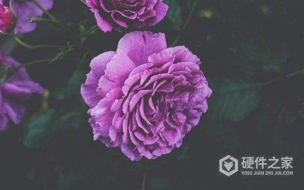 u盘数据恢复免费的方法一览