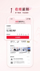 维鉴