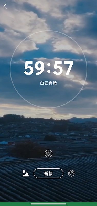 爱武艺官方版