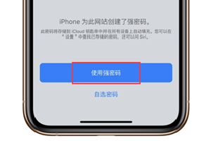如何在 iPhone 上创建和自动填充