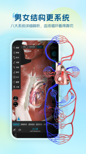 维萨里3D解剖
