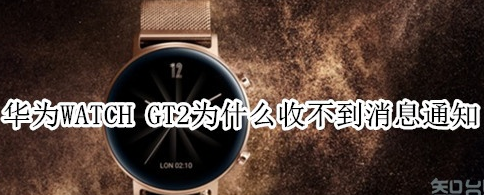 华为WATCH GT2收不到消息通知怎么办