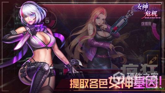 女神危机果盘版