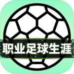 职业足球生涯