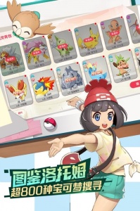 口袋觉醒网易版