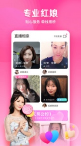 对缘自动匹配版