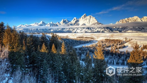 回收站清空了恢复回来教程