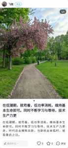 张家港爱上网