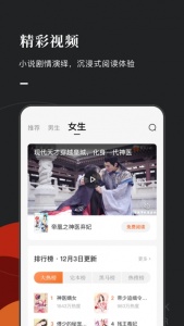 番茄免费小说大字版