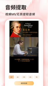 音频提取格式转换