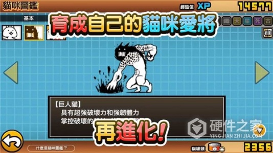 猫咪大陆九游版