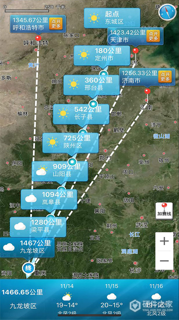 爱鸽者