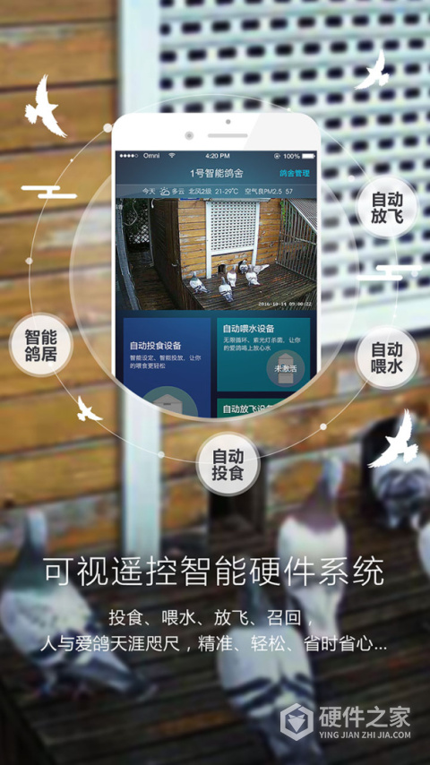 爱鸽者软件