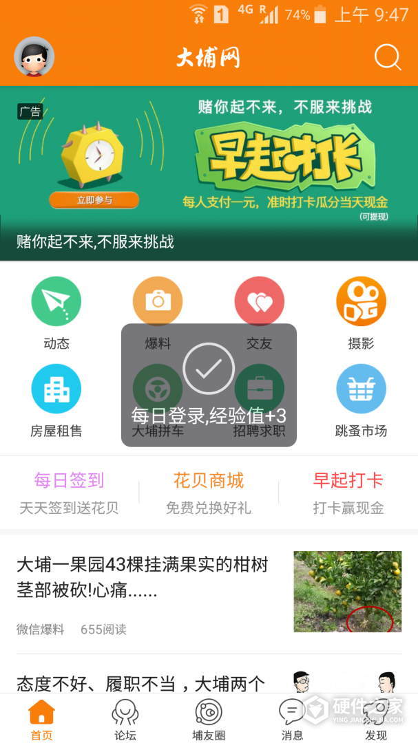 大埔网