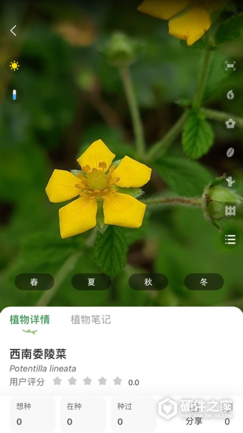花信app