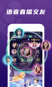 顽皮终身会员版