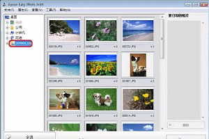 epson easy photo print