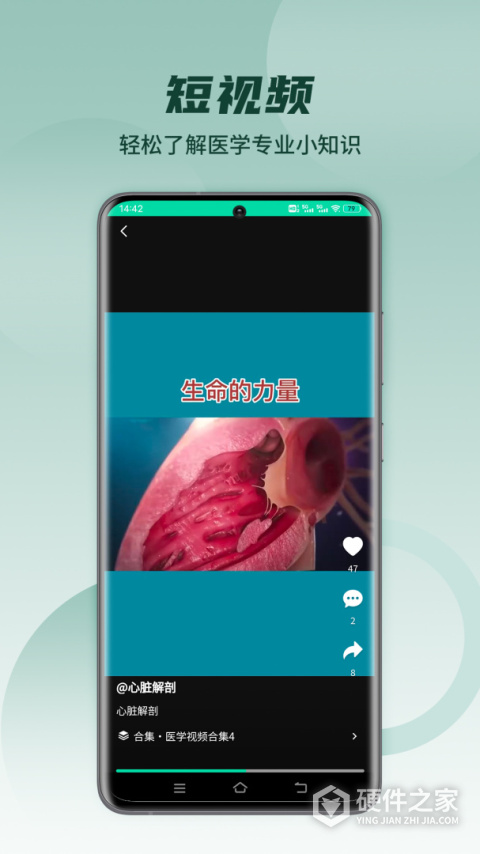 医维度解剖
