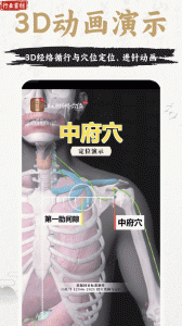 中济经络穴位