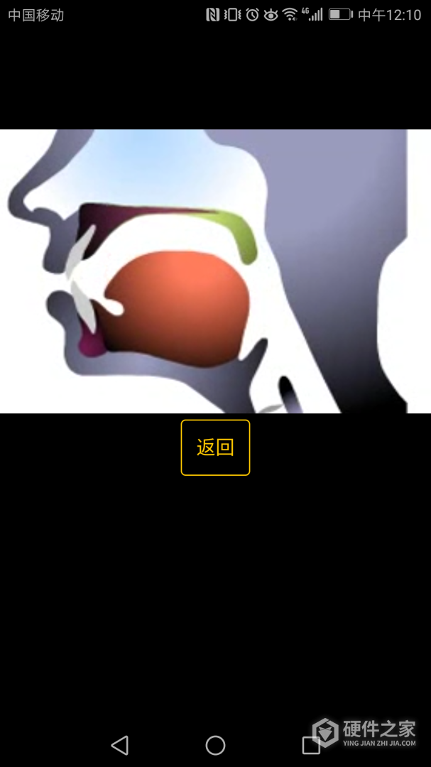 英语国际音标学习