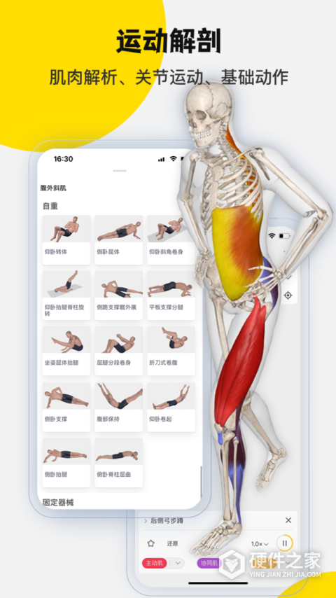 3Dbody解剖app