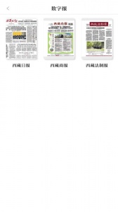 西藏日报
