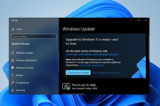 Win11动清理垃圾设置方法