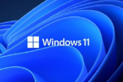 Windows11 IE浏览器打开指南