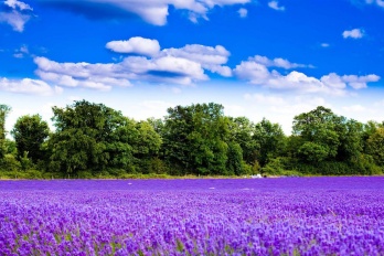 旧手机烂了里面照片怎么找回