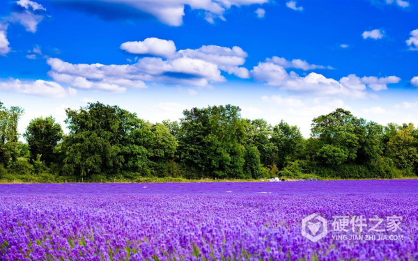 旧手机烂了里面照片怎么找回