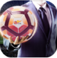 足球大玩家九游版