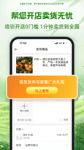 一亩田
