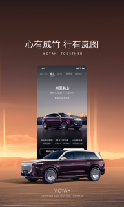岚图汽车