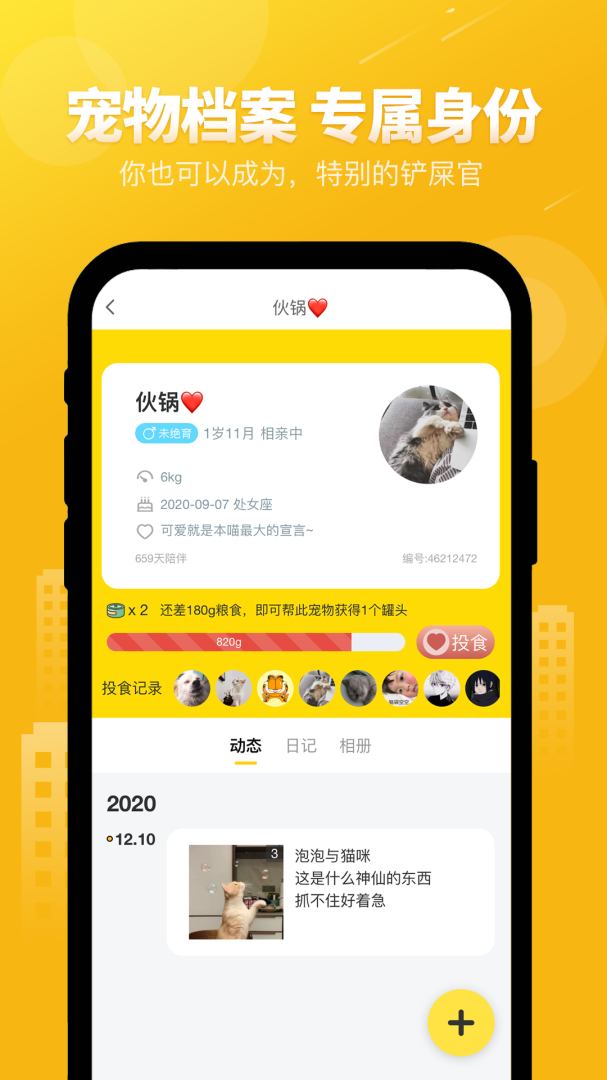 友猫（宠物猫社交）