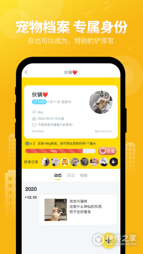 友猫（宠物猫社交）