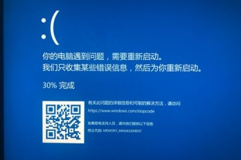 蓝屏后进入高级启动选项怎么解决