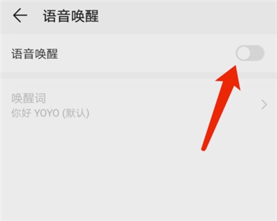 荣耀yoyo怎么打开