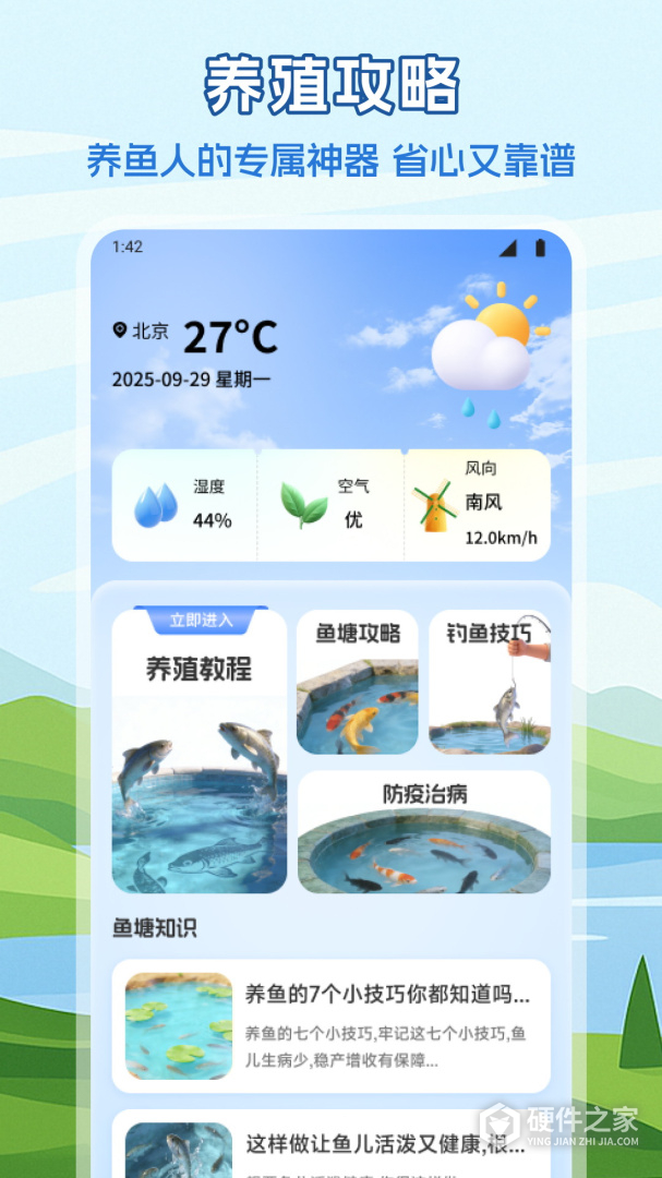 锦鲤