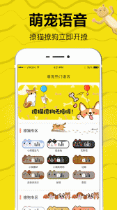 猫语交流翻译器