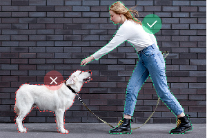 萤石c8w怎么设置人形检测