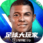 足球大玩家